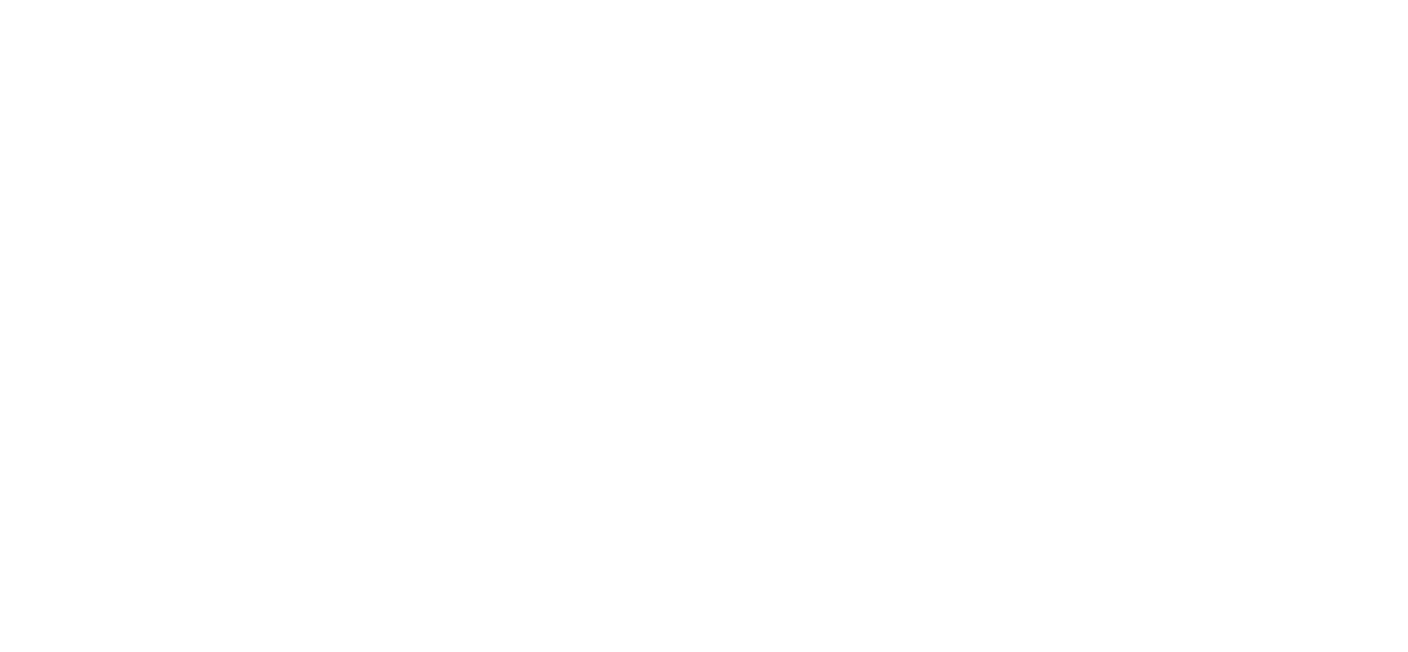 Ray's Diner